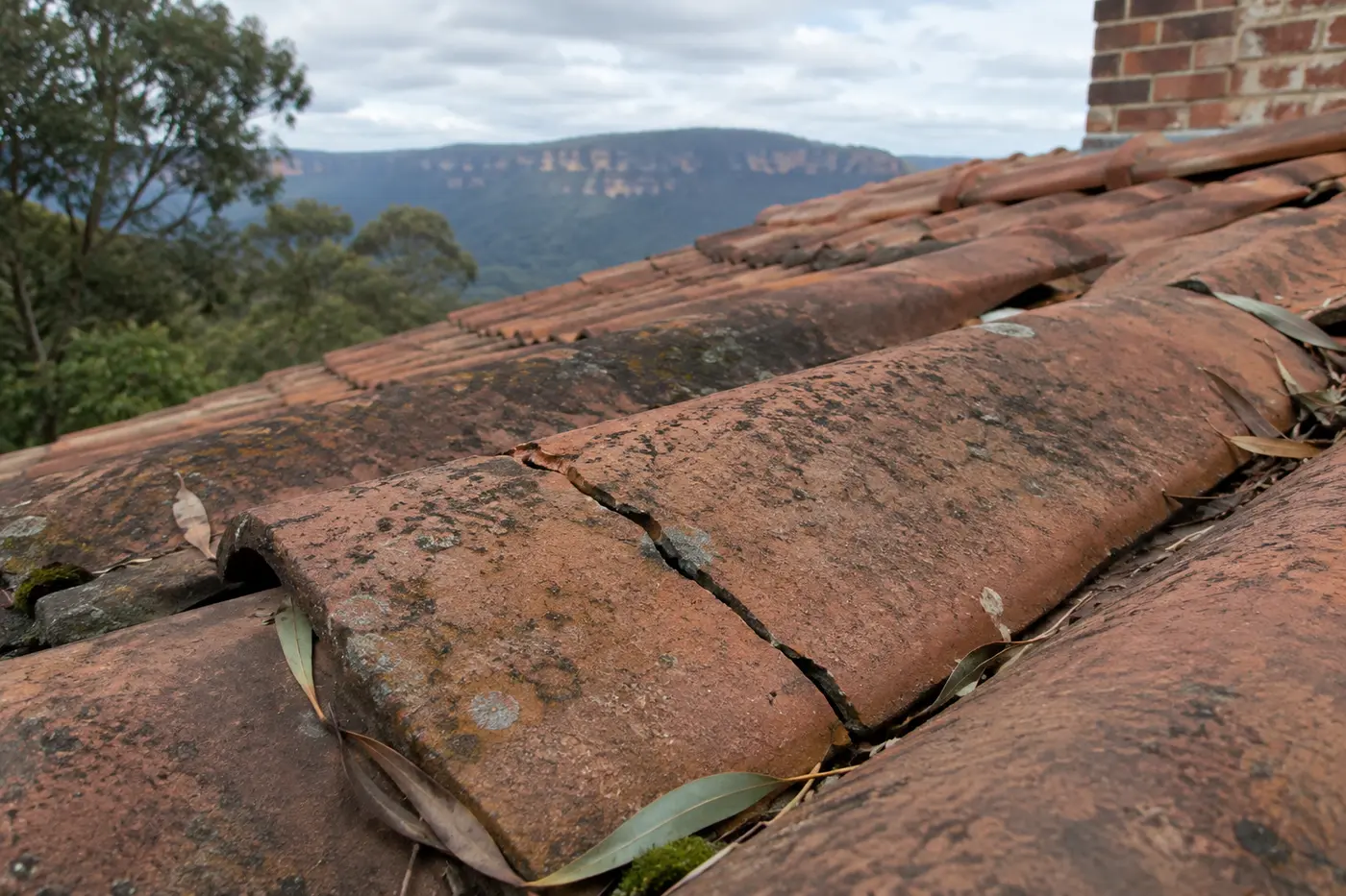 Close view of a cracked terracotta roof tile with a diagonal split, sitting among weathered tiles on a Blue Mountains roof