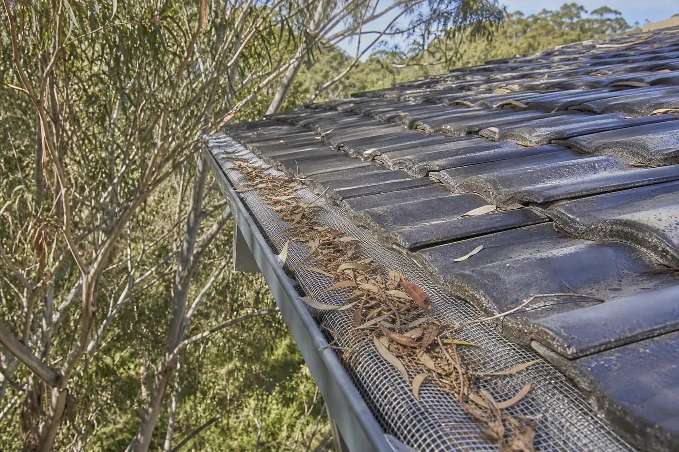 Metal mesh gutter guard fitted along the edge of a tiled Blue Mountains roof with gum trees overhanging and leaf litter caught on top of the mesh