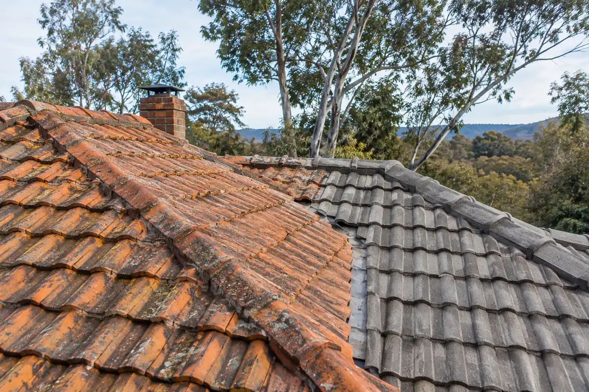 Weathered terracotta roof tiles meeting grey concrete tiles on a Blue Mountains home with eucalypts behind